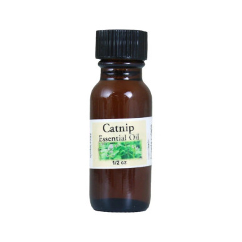 Catnip Essential Oil -  oz.