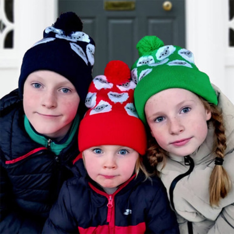 Kids Irish Knit Green Sheep Hat