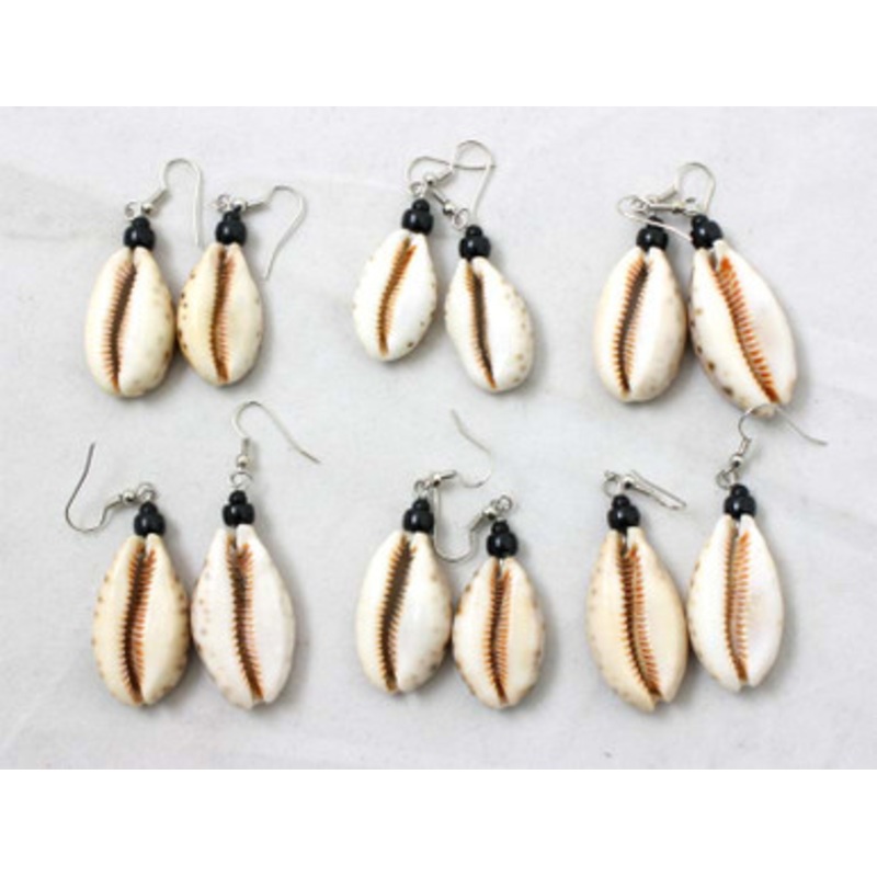 Set Of 6 Large Tiger Shell Earrings
