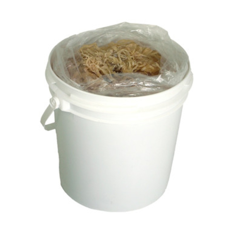 Wildcrafted Salted Sea Moss - 3 Lbs.