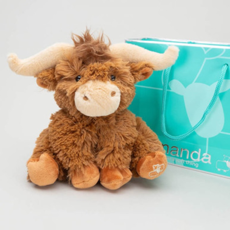 Small Longhorn Highland Cow