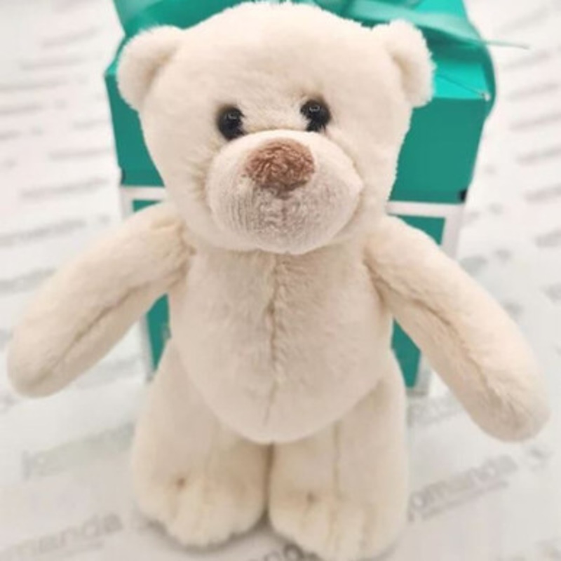 Soft Toy Plush Bear in Gift box