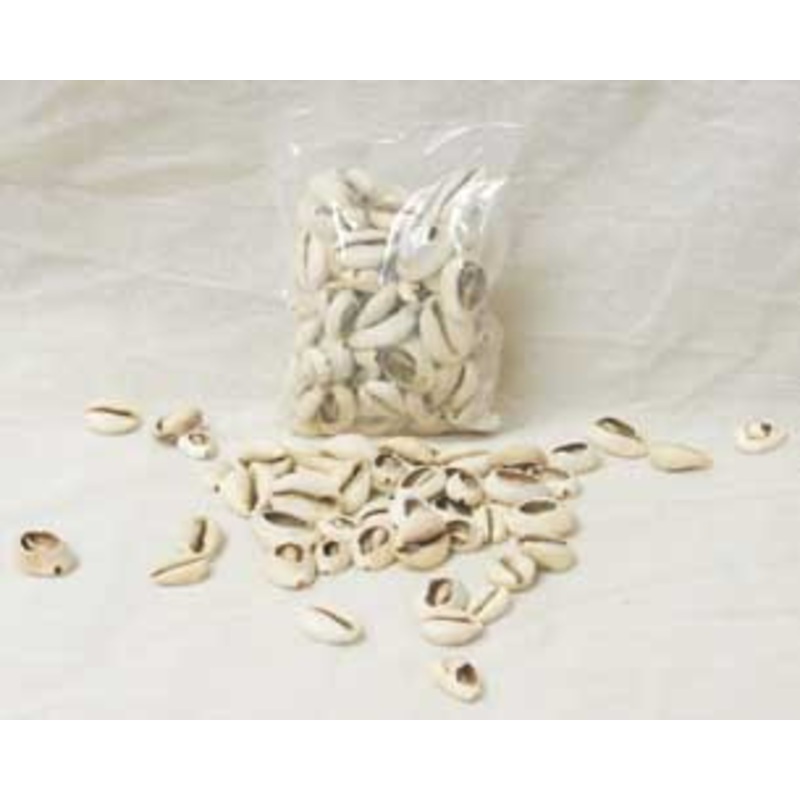 West African Cowry Shells - Bag of 100