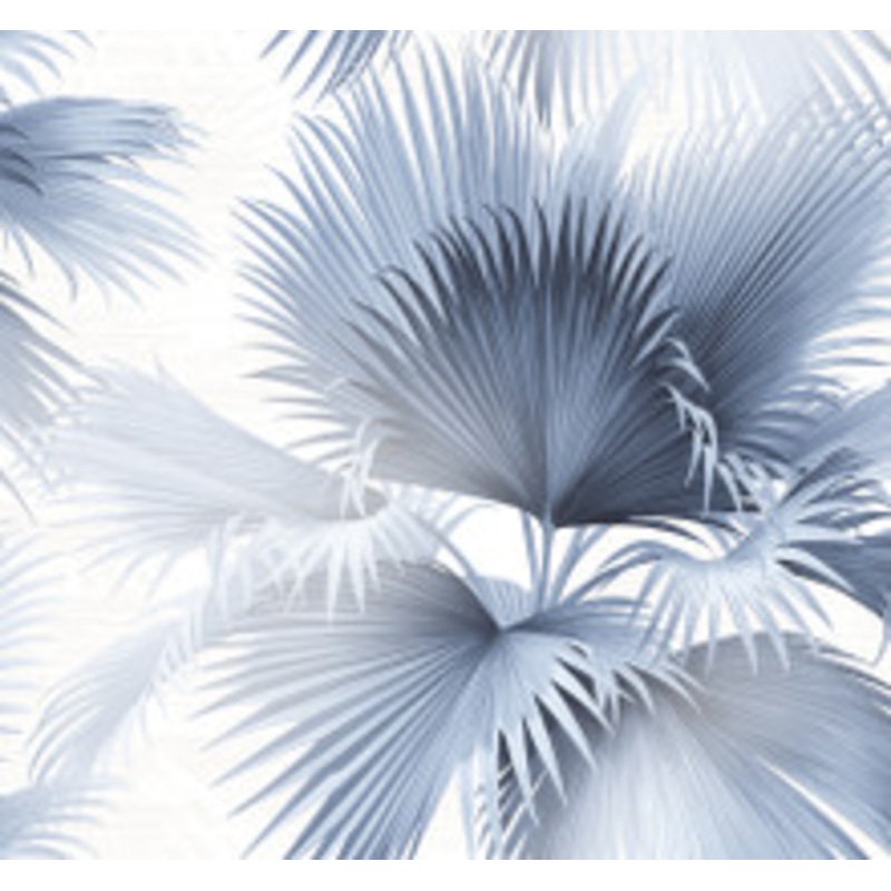 A-Street Prints Summer Palm Blue Tropical Wallpaper