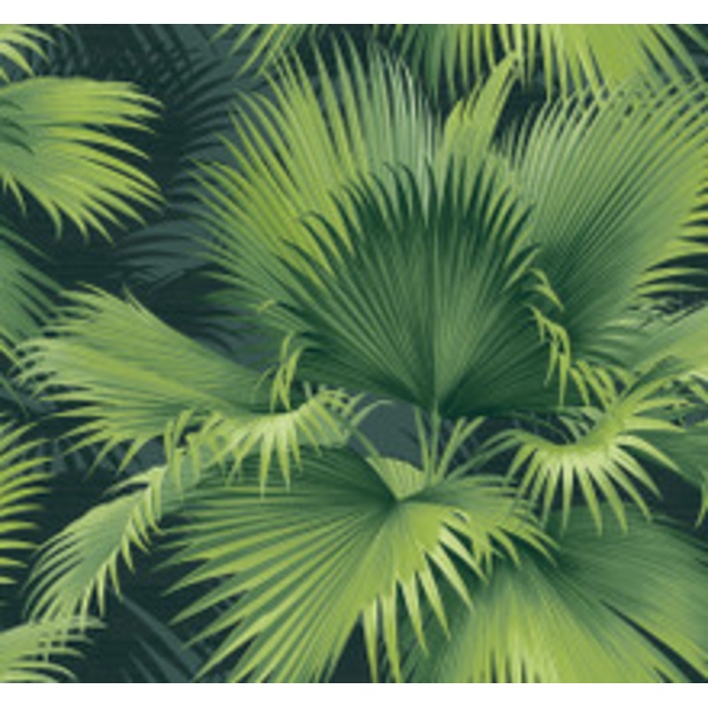 A-Street Prints Summer Palm Dark Green Tropical Wallpaper