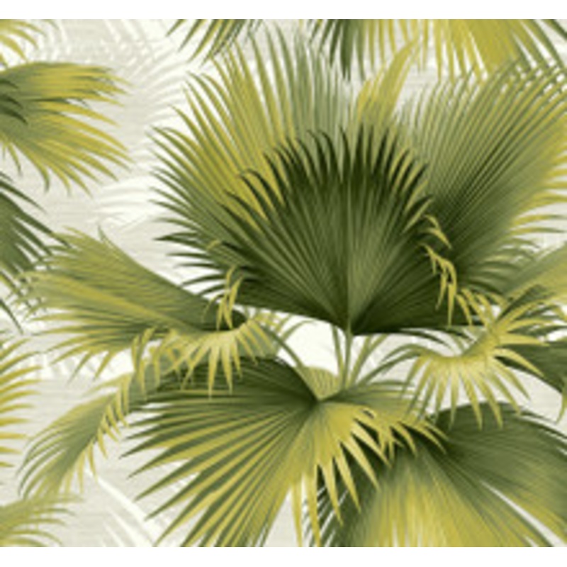 A-Street Prints Summer Palm Green Tropical Wallpaper