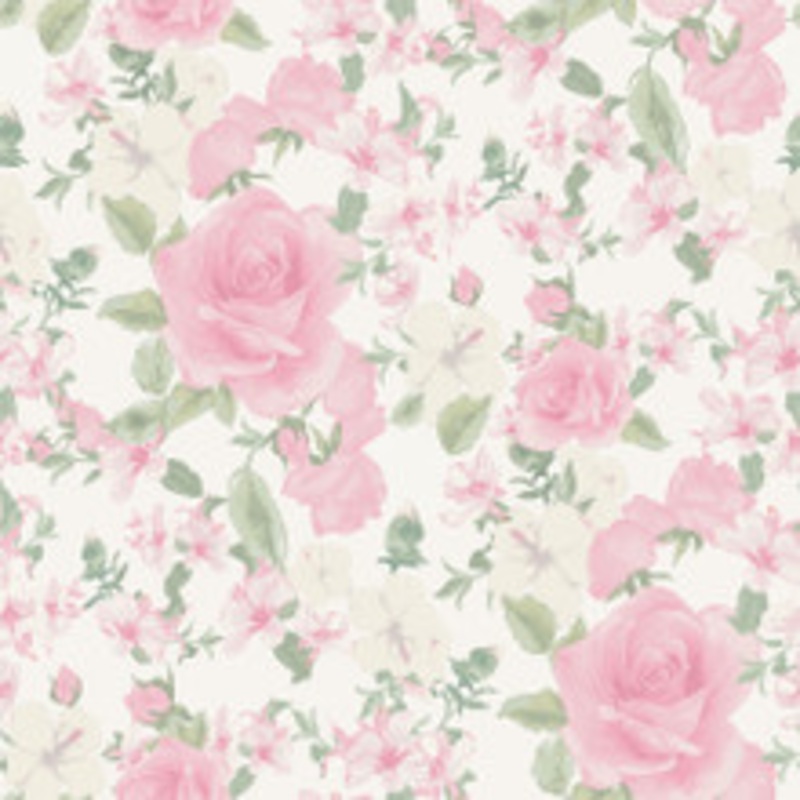 A-Street Prints Sunset Harbor Rose Vida Rosa Roses & White Flowers Wallpaper