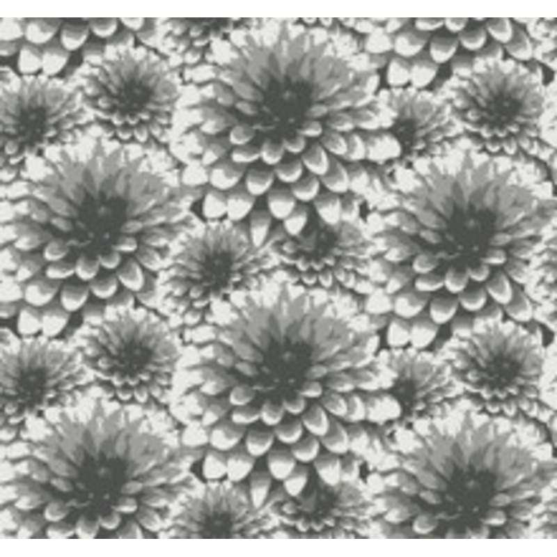 A-Street Prints Umbra Charcoal Floral Wallpaper