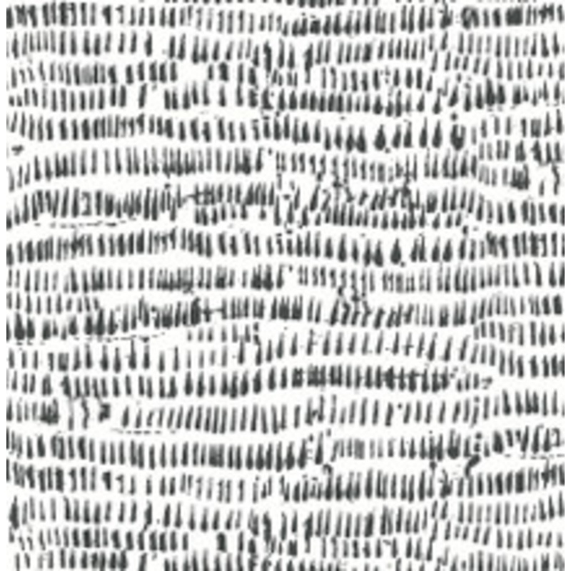 A-Street Prints Runes Charcoal Brushstrokes Wallpaper
