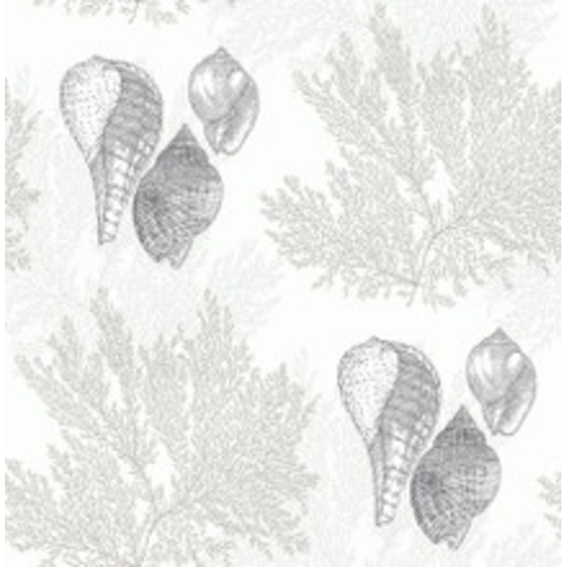 A-Street Prints Nauset Cream Seashell Shores Wallpaper