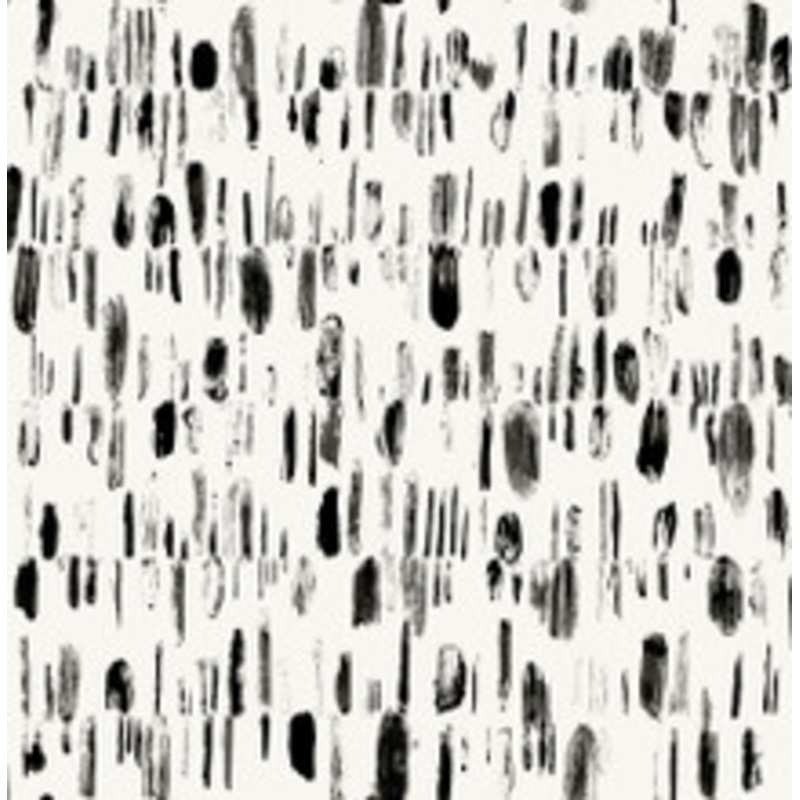 A-Street Prints Dwell Black Brushstrokes Wallpaper