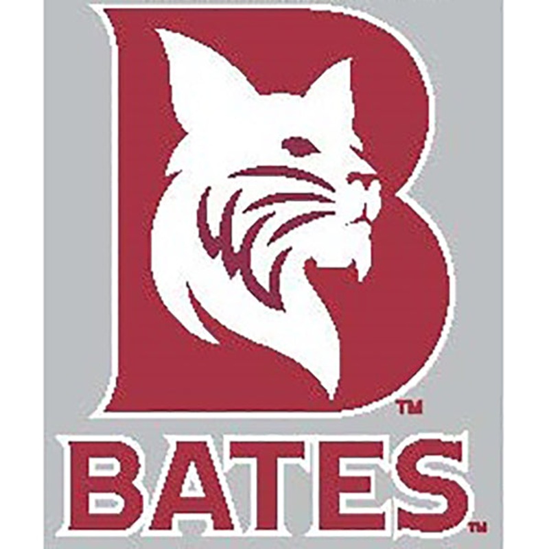 Bobcat Inside B Decal