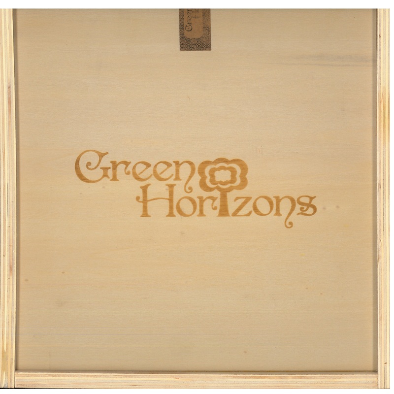 Green Horizons Box
