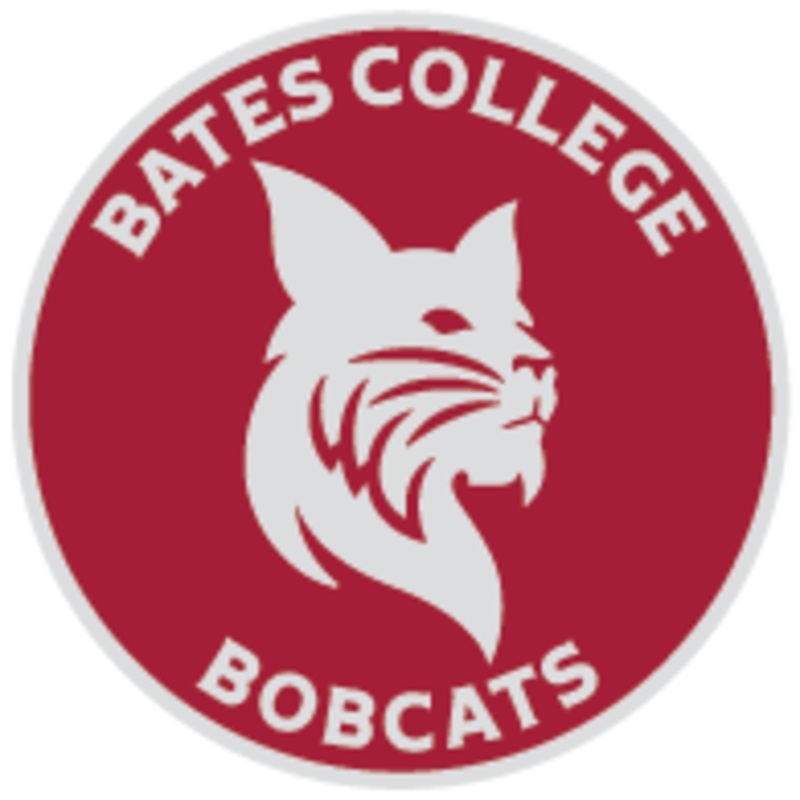Lapel Pin with Bobcat