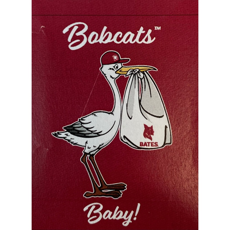 Bobcats Baby Flag 30"x40"
