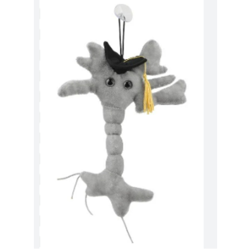 Graduation Brain Cell Keychain from Giant Microbes