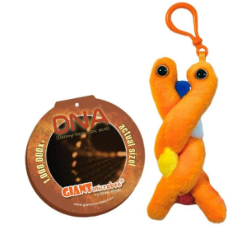 DNA Key Chain from Giant Microbes