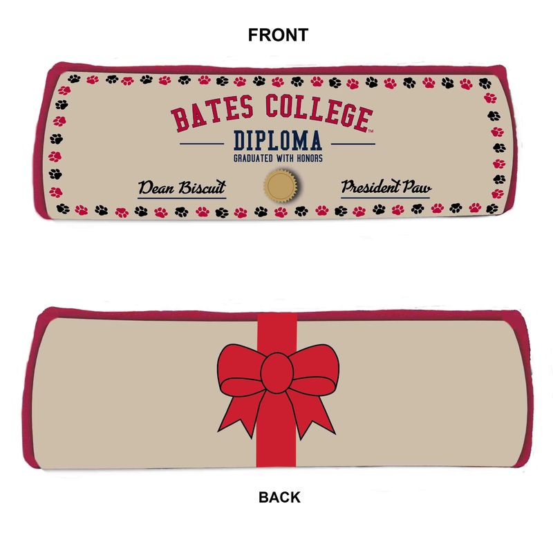 Pet, College Diploma Dog Toy