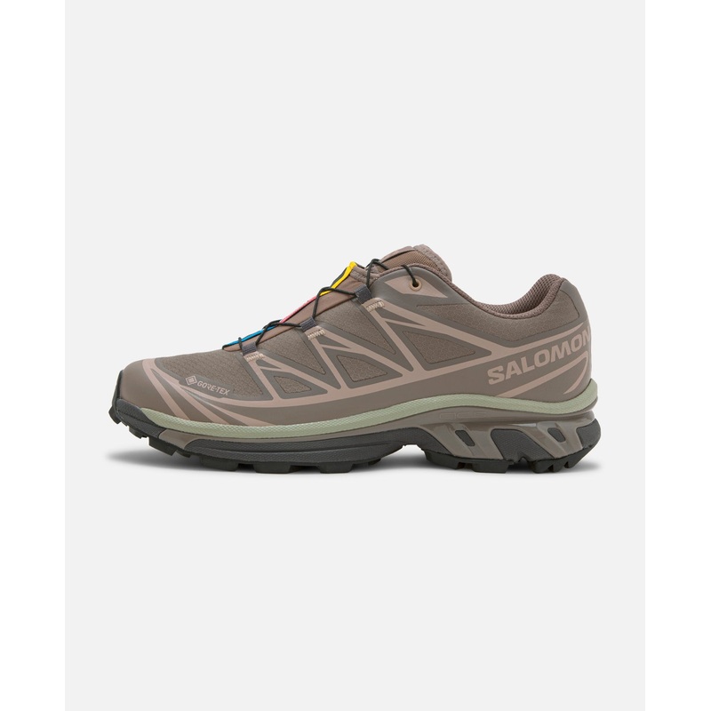 XT-6 GTX (Brown)