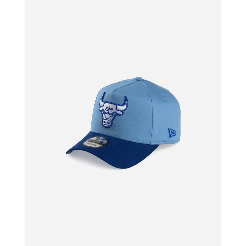 Chicago Bulls Deep Freeze 9Forty A-Frame Snapback