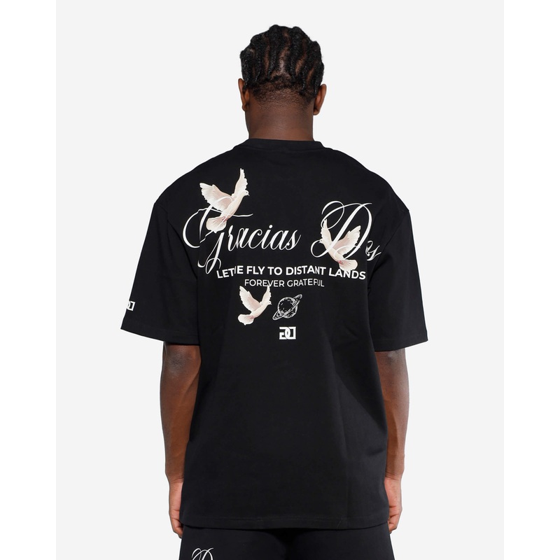 Fly To Distant Lands Oversized T-Shirt