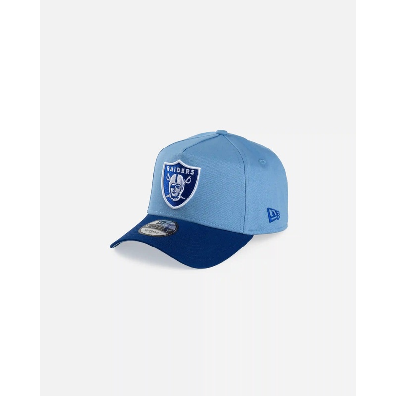 Las Vegas Raiders Deep Freeze 9Forty A-Frame Snapback