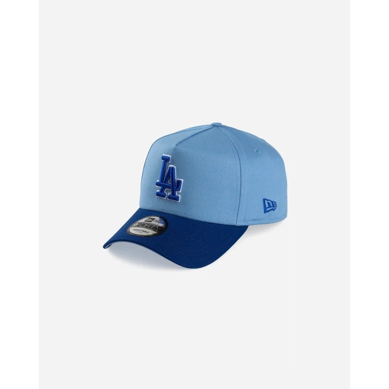 Los Angeles Dodgers Deep Freeze 9Forty A-Frame Snapback